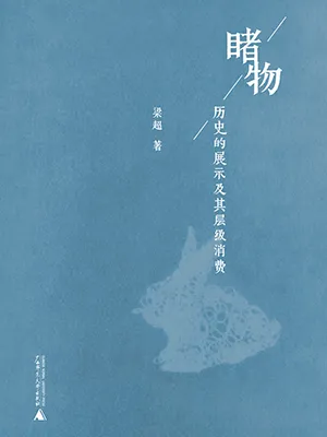 《睹物：历史的展示及其层级消费》封面