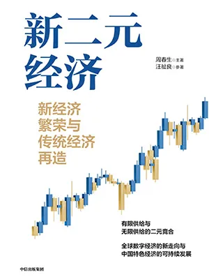 《新二元经济：新经济繁荣与传统经济再造》封面