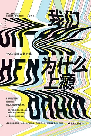 《我们为什么上瘾》封面