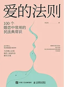 《爱的法则:100个婚恋中常用的民法典常识》封面