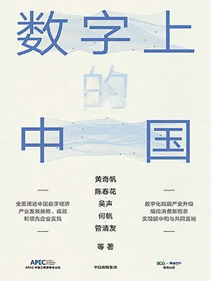 《数字上的中国》封面