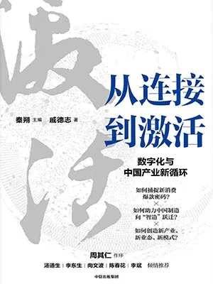 《从连接到激活:数字化与中国产业新循环》封面