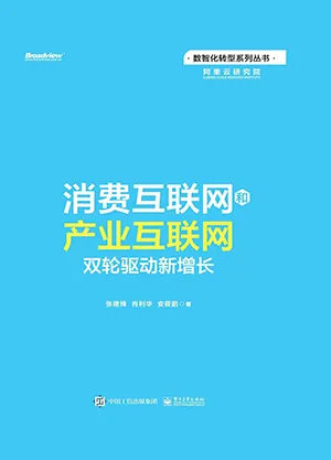 《消费互联网和产业互联网：双轮驱动新增长》封面