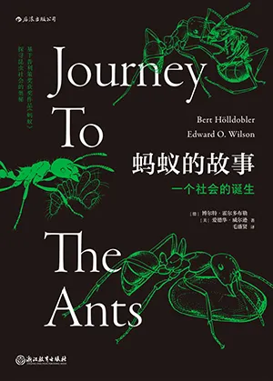 《蚂蚁的故事：一个社会的诞生》封面
