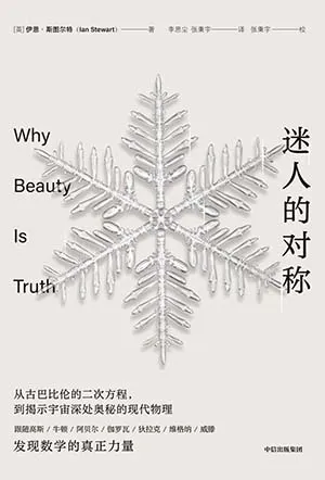 《迷人的对称》封面