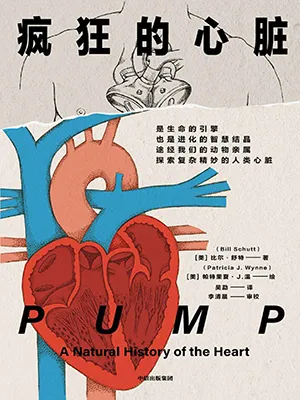 《疯狂的心脏》封面