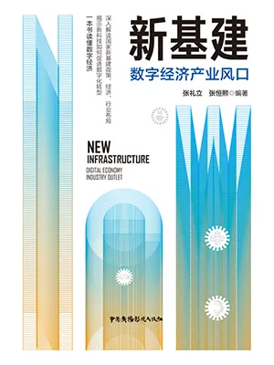 《新基建：数字经济产业风口》封面
