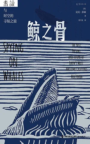 《鲸之骨:穿越海陆与时空的寻鲸之旅》封面