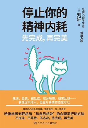 《停止你的精神内耗：先完成，再完美》封面