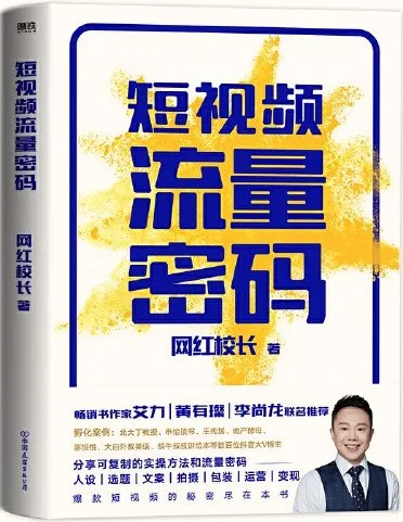《短视频流量密码》封面