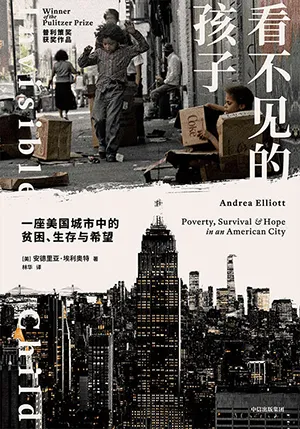 《看不见的孩子：一座美国城市中的贫困、生存与希望》封面