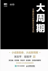 《大周期:不确定时代的确定性生存法则》封面