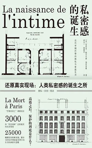 《私密感的诞生：近代早期巴黎的隐私与家庭生活》封面
