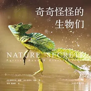 《奇奇怪怪的生物们》封面