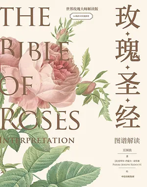 《《玫瑰圣经》图谱解读》封面