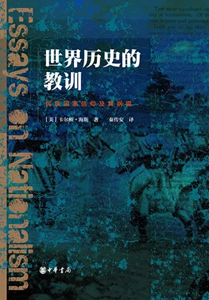 《世界历史的教训：民族国家信仰及其祸福》封面