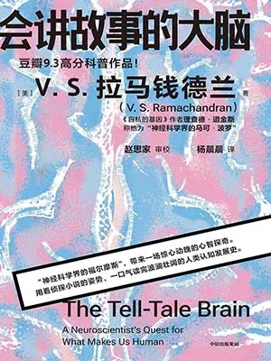 《会讲故事的大脑》封面