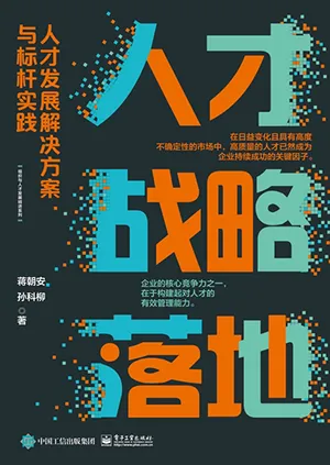《人才战略落地：人才发展解决方案与标杆实践》封面