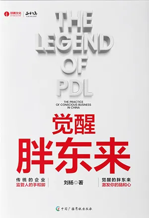 《觉醒胖东来：首个觉醒商业中国本土案例洞察》封面