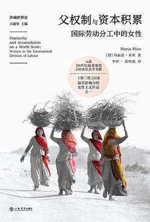 《父权制与资本积累：国际劳动分工中的女性》封面
