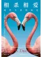 相杀相爱