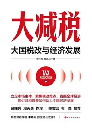 《大减税：大国税改与经济发展》封面
