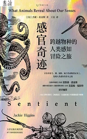 《感官奇迹：跨越物种的人类感知冒险之旅》封面