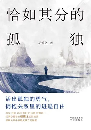 《恰如其分的孤独》封面