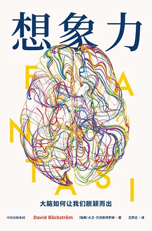 《想象力：大脑如何让我们脱颖而出》封面