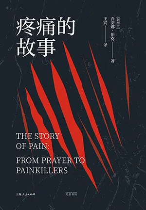 《疼痛的故事》封面