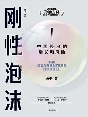 《刚性泡沫（增订版）》封面