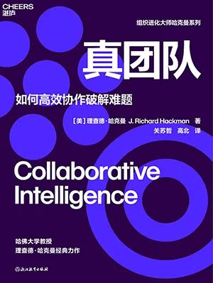 《真团队：如何高效协作破解难题》封面