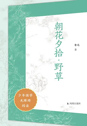 《朝花夕拾·野草(少年国学无障碍阅读)》封面