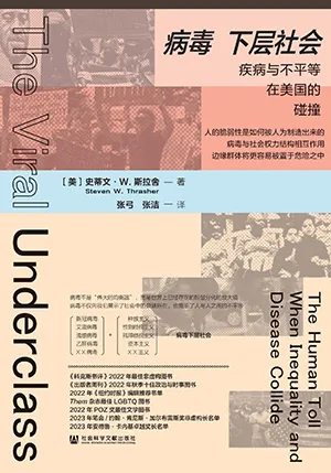 《病毒下层社会：疾病与不平等在美国的碰撞》封面