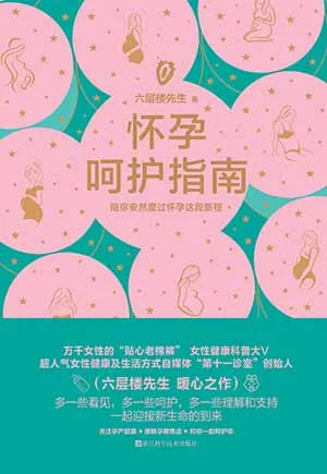 《怀孕呵护指南：陪你安然度过怀孕这段旅程》封面