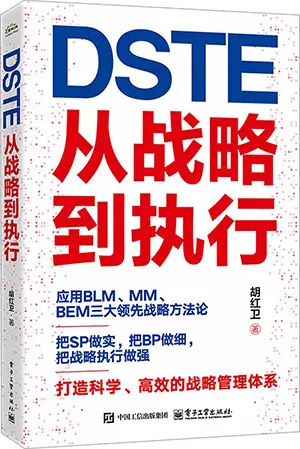《DSTE:从战略到执行》封面