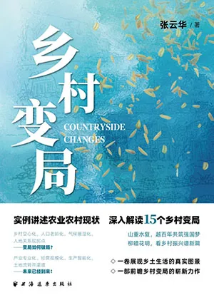 《乡村变局》封面