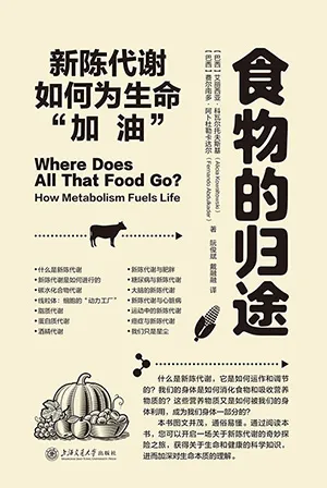 《食物的归途：新陈代谢如何为生命“加油”》封面