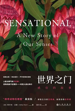 《世界之门：感官的故事》封面