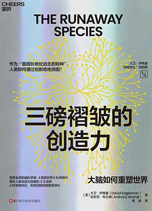 《三磅褶皱的创造力》封面