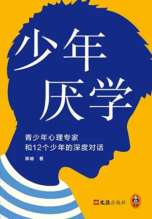 《少年厌学:青少年心理专家和12个少年的深度对话》封面