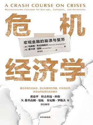 《危机经济学：宏观金融的崩溃与复苏》封面