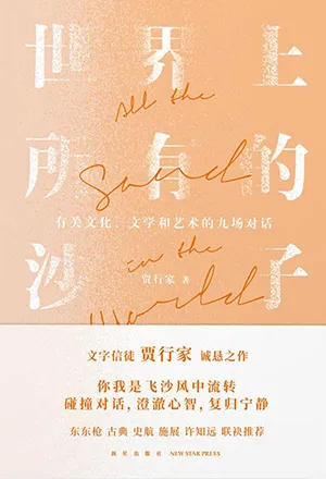 《世界上所有的沙子：关于文化、文学和艺术的九场对话》封面