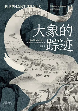 《大象的踪迹》封面