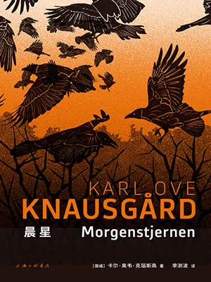 《晨星》封面
