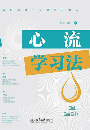 《心流学习法:6步帮助你为孩子构造学习上的心流》封面