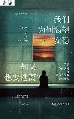 《我们为何渴望安稳,却又想要逃离?:关于身份认同与自我实现的心理探索》封面