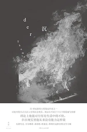 《沉落者》封面