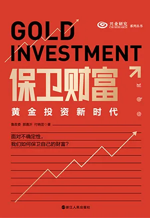 《保卫财富：黄金投资新时代》封面