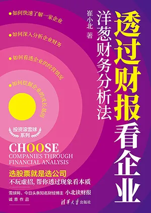 《透过财报看企业：洋葱财务分析法》封面